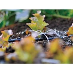 Hot Sale Garden Care -Hot Sale Garden Care 5010646060936 2