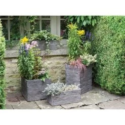 Woodlodge 25cm Square Driftwood Planter 5 Woodlodge 25cm Square Driftwood Planter -Hot Sale Garden Care 5021346406528 3